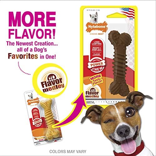 Are Nylabones Safe Is Dog Eats Them