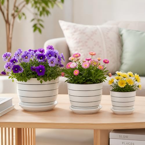 Image of Xtore Elegant Striped Ceramic Planter Set of 3 with Drainage Trays | Minimalist Indoor Plant Pots for Home, Office, Balcony & Tabletop Styling (Pack of 3 - Planter only)