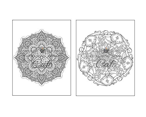 51bx2JSrRDL. SL500  - 125 Mandalas: An Adult Coloring Book Featuring 125 of the World&rsquo;s Most Beautiful Mandalas for Stress Relief and Relaxation (Mandala Coloring Books)