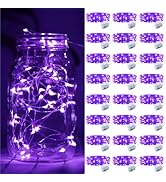 Fairy Lights Battery Operated, String Lights Battery Powered 7ft 20 Led Twinkle Lights (Purple, 24)