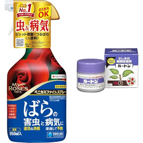 yZbgzZFw| EEۍ xjJXt@CXv[ 950ml o KN  aC + A [g 15g  c i i