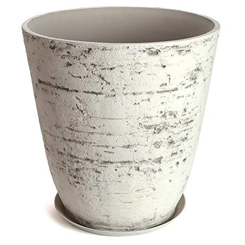 【専用、鉢のみ】 folio-alto-egg-cream-1_1.jpg?