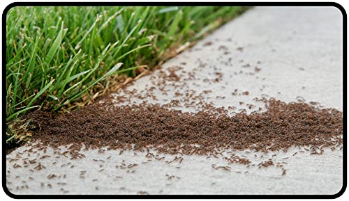 Image of Cherry online store Chimala Mandu /Gamazine Powder /Ant Killer /చిమల మందు (500)