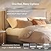 FLEXISPOT All-in-One Adjustable Bed Frame with Upholstered Flange Edge Headboard, Queen–Minimalist Design – Synchronized Head & Foot Lift for Relaxation–600 lbs–5Y Motor&10Y Frame Warranty,Light Grey