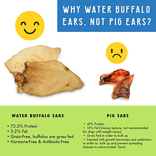 Buffalo Ear Dog Chew and Treat - Image 5