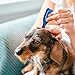 Beaphar Uk 22111/3866 Beaphar Calming Spot On for Dogs (3 Pipettes)