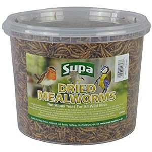 Supa Dried Mealworms for Wild Birds, 3 Litre Bucket, High Energy Protein Rich Treat For Garden Birds, Attract More Birds…