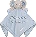 Wuff-Dogsworld Baby Kuscheltuch VIELE Modelle mit Namen Bestickt Geschenk Taufe Geburt Schmusetuch Schnuffeltuch Trösterchen Junge Mädchen (Elefant blau)