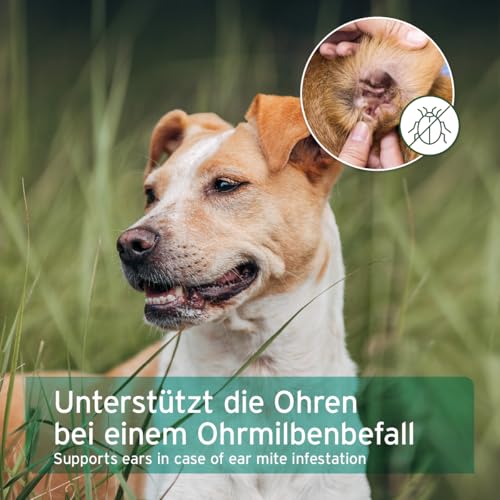 AniForte Ohrmilbenöl für Hunde, Katzen & Nagetiere 50ml – Ohrentropfen bei Juckreiz & Milben, Mittel bei Ohrmilben, Ohrenpflege & Ohrenreinigung