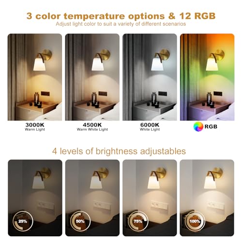 Image of Battery Operated Frosted Glass Wall Sconces Set of Two, Rechargeable Wall Lamp 3 Color Temp & 12 RGB Colors Wireless Battery Powered for Bedroom Living Room with Remote