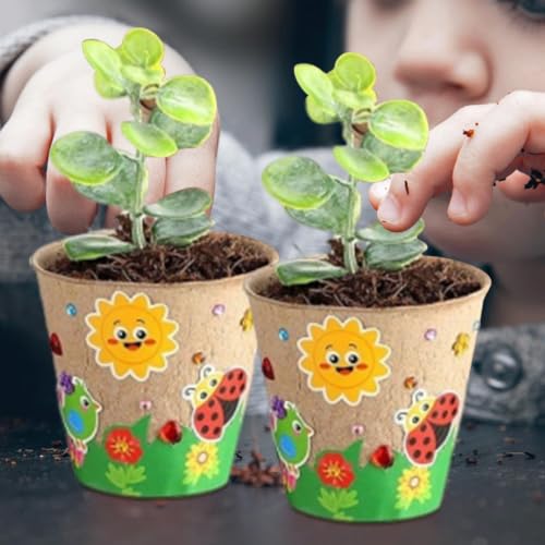 Macetas pequeñas infantiles tiestos de papel artesanal con cúpula jardín niños manualidades primavera 4