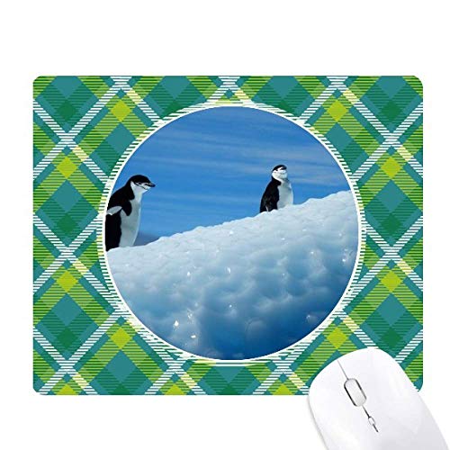 2̓ɃyMȊw͎R̎ʐ^ ΂̊iq̃sNZS̃}EXpbh