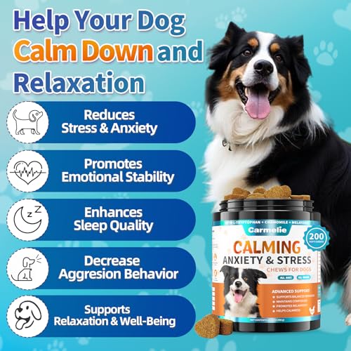 Carmelie Calming Treats for Dogs - 200 Count Calming Dog Treats -Alternative Calming Chews for Dog Reduce Stress, Fear, Separation Anxiety - Natural Valerian Root, L-Tryptophan - Chicken Flavor - Image 3