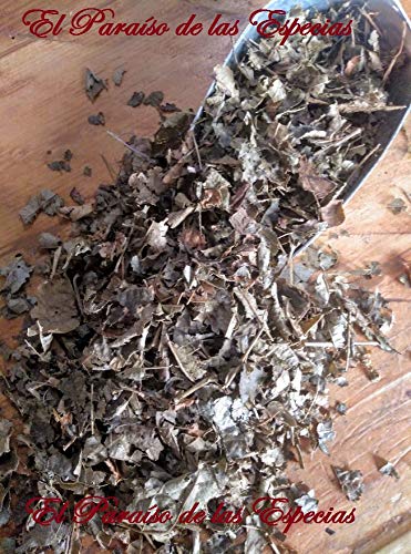Hamamelis Hojas 1000 grs - Avellano de Bruja Planta Natural 100 %