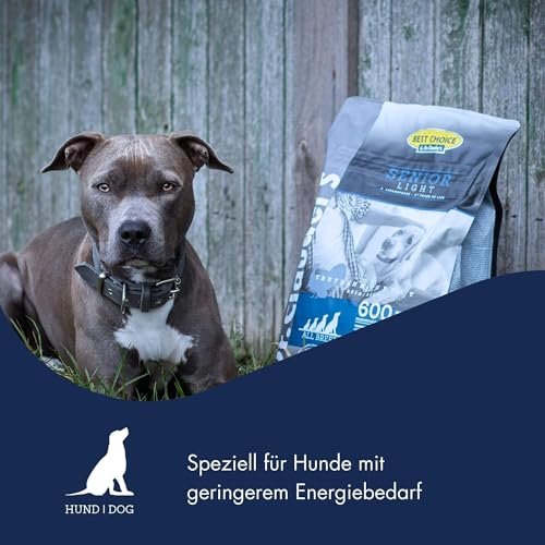 DR.CLAUDER’S - Best Choice Senior Light | Trockenfutter für ältere Hunde mit geringem Energiebedarf zur Gewichtskontrolle. Weizenfreies Alleinfutter im Beutel | 12,5kg Truthahn&Reis