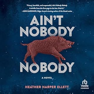 Ain't Nobody, Nobody Audiobook By Heather Harper Ellett cover art