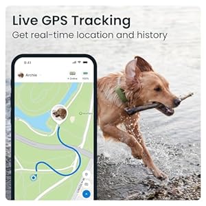 Tractive XL GPS Tracker & Health Monitoring for Dogs (50 lbs+) – Market Leading Pet GPS Location Tracker | Wellness & Escape Alerts | Waterproof | Works with Any Collar (Green)