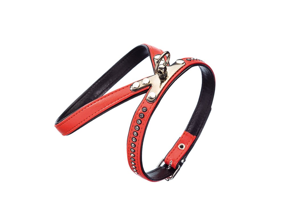 Harnais en cristal Nobby rembourré et ajustable pour petit chien