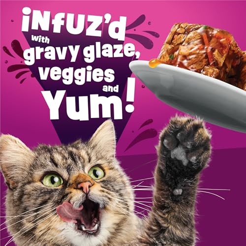 Purina Friskies Fully Load'd Wet Cat Food, Salmon, 24 Count, 5.5 oz - image 4
