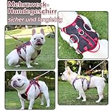 Mehrzweck-Hundegeschirr mit Leine Set, Ausbruchsicheres Anti Zug Hundegeschirr, Anti Zug Geschirr Hund Sicherheitsgeschirr, Hundegeschirre Kleine Hunde für Kleine Mittelgroße Hunde(Schwarz, M)