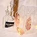 Produktbild Nordic Rose Gold Feder Licht String Schlafzimmer Layout Mädchen Zimmer Dekoration Urlaub Hochzeit Weihnachten Fenster Dekoration Lichterketten 20LED (2 PACK)
