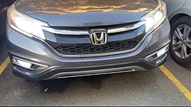 Review Image by Elvis Elvis