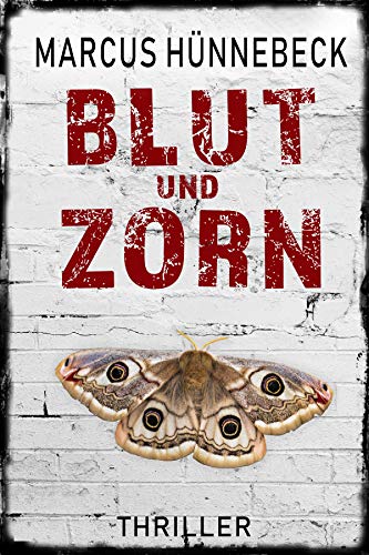 Blut und Zorn: Thriller (Drosten und Sommer)