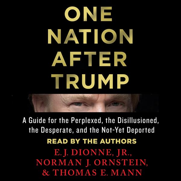 Cover art for One Nation After Trump