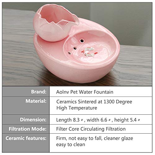 Best Water Fountain For Flat Faced Cats