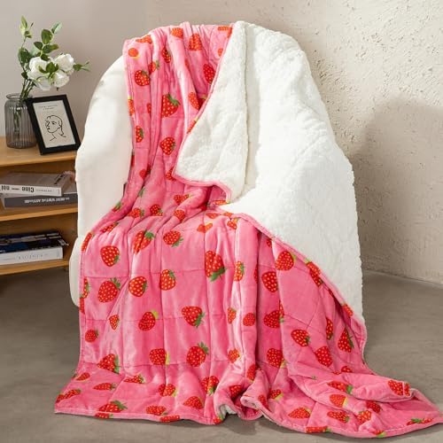 Aemicion Weighted Blanket Queen Size 20 Lbs 60x80 Inches,Ultra So...
