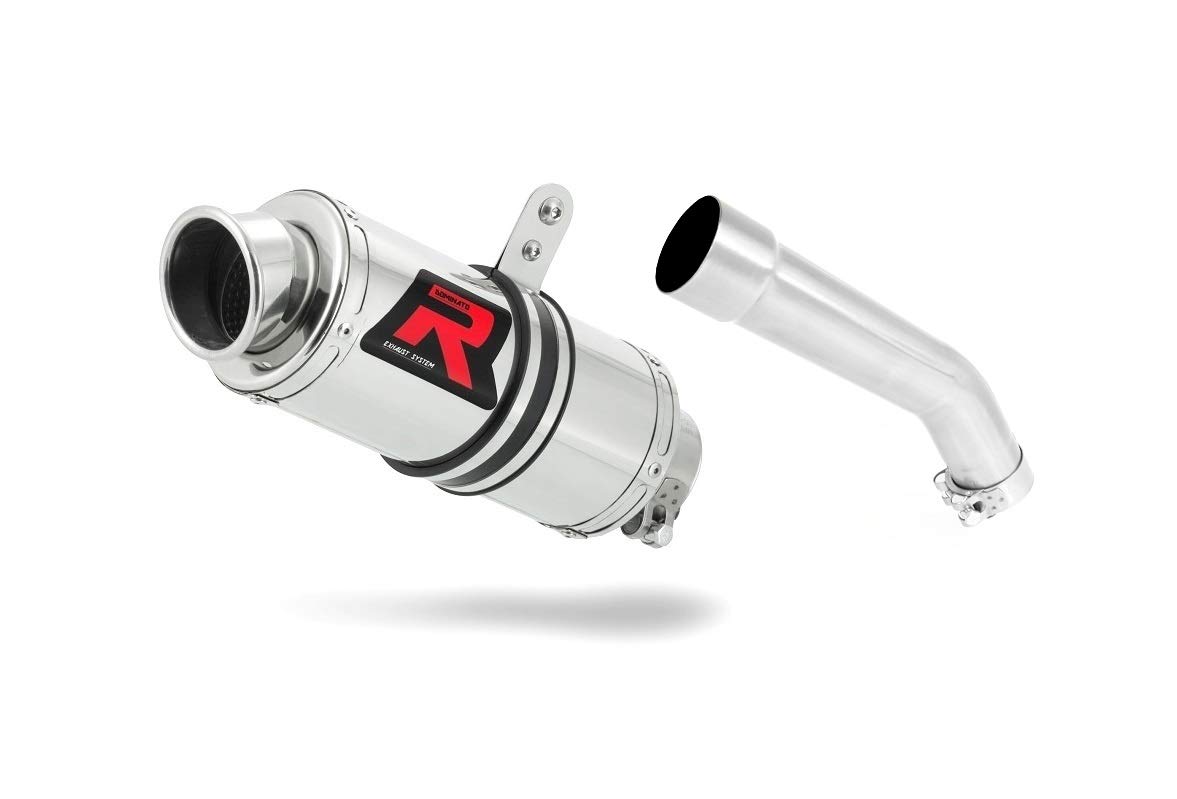 DOMINATOR Silenciador Escape GP1 compatible con ZX10R 2004-2005