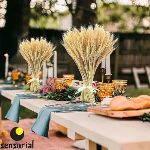 Ramo Trigo Seco Decorativo, 75 cm, Lotes de Palha para Decoração de Casamentos, Festas, Casa, Evento