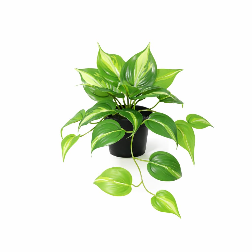 Planta Artificial Epipremnum Variegata, Decoración de Interior, 23 cm
