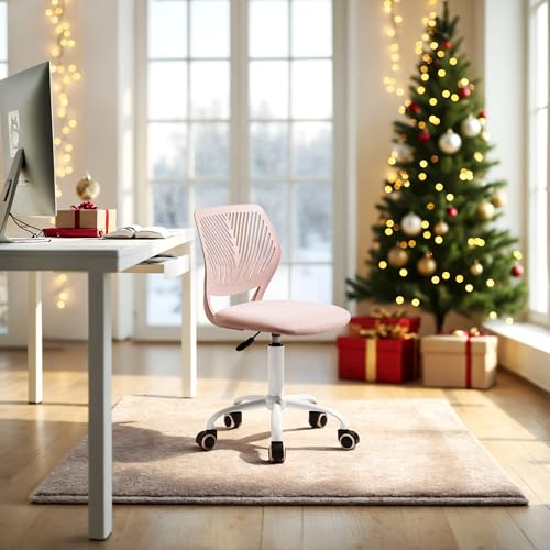 best ergonomic chair owner experiences product image