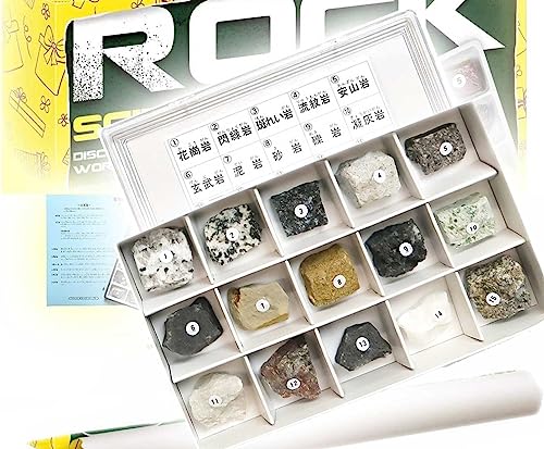 SCIENCE「基本となる岩石 岩石標本 15種セット(火成岩、堆積岩、変成岩)解説付き」紙箱入り:160×97×H30mm/ROCK SPECIMENS KIT 15