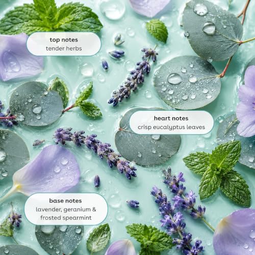 Image of Ginger Lily Farms Botanicals Body Wash, 128oz, Eucalyptus Tranquility | 100% Vegan & Cruelty-Free | Nourishing Bath & Shower Gel for All Skin Types | Refill Size