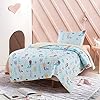 Soul & Lane Little Mermaids Bedding Quilt Set - Twin with 1 sham | Summer Lightweight Quilted Bedspread for Girls 51byHU3AyJL. SS100