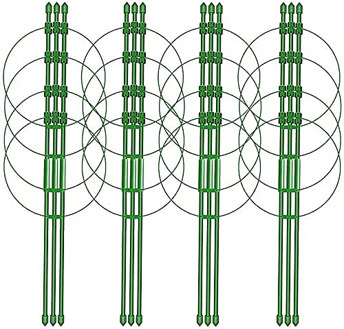 Garden Art Vegetable Trellis, Garden Plant Support Cages Stakes for Climbing Plants, Flowers, Fruits, Vine, Garden Trellis with 4 Adjustable Cable Ring (Dia-29.5, Height-90 Cm)(GAFS90)(Pack of 1)