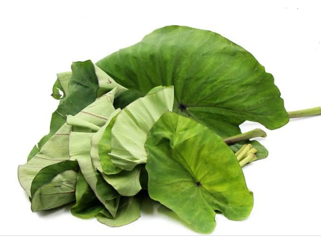 See full amazon price history chart for taro leaf colocasia organic health herbs 300g,chembu/Alooka/Arwi Ke Paan/Patra Ke,medicine body care leaf/ns tamizhi supermart products taro leaf colocasia organic health herbs 300g,chembu/Alooka/Arwi Ke Paan/Patra Ke,medicine body care leaf/ns tamizhi supermart products (B09Y127HXN) Amazon Price History, Amazon Price Tracker