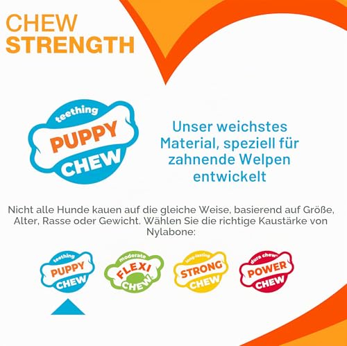 Interpet NBP901PEU Nylabone für Welpen, Kauspielzeug für den Zahnwechsel - blau, Hühnergeschmack, XS