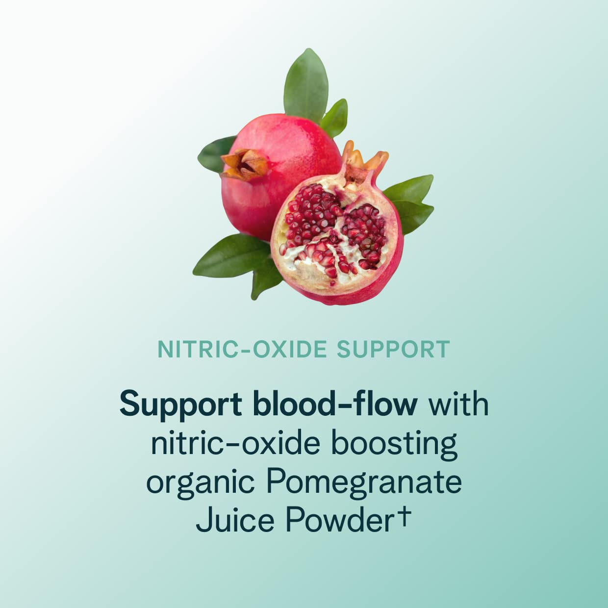 Ora Organic Natural Pre Workout Powder, Vegan Energy Supplement, Organic Matcha and Electrolyte Blend, Ceremonial Matcha Flavor, 20 Servings