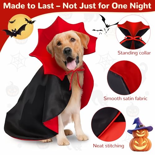 Cape para perros disfraz vampiro Halloween negro miniatura 4