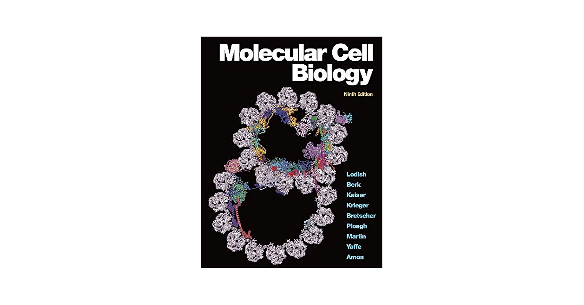 健康・医学 Molecular Cell Biology, 9th Edition Amazon.co.jp: Molecular Cell Biology, 9th Edition : Toys & Games