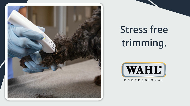 Amazon.com: Wahl Professional Animal Vetiva Mini Cordless