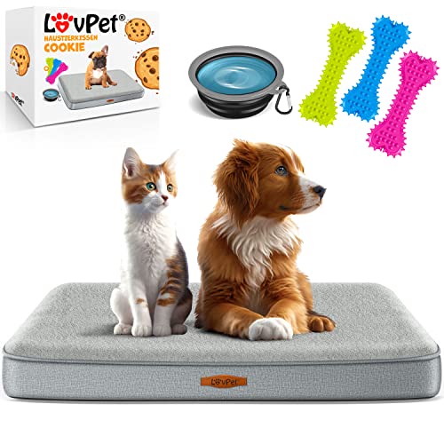 Lovpet® Hundebett orthopädisches Hundekissen Hundekorb Cookie, Inkl. Napf + 3X Kauknochen, Hundesofa für Kleine, Mittelgroße & Große Hunde, Bezug abnehmbar und waschbar, L 91x69x7,6 cm Grau