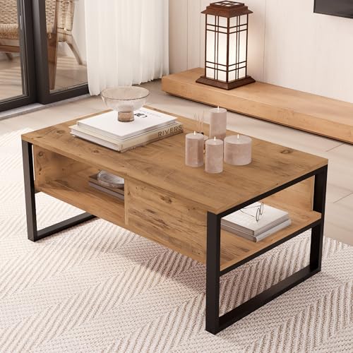 [en.casa] Table Basse de Salon Stylée au Design Moderne avec 2 Compartiments Intérieurs Stable Robuste Plateau Rectangulaire Métal Panneau de Particules 100 x 60 x 45...