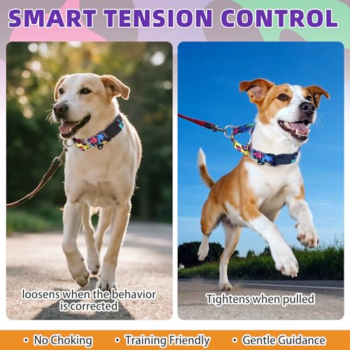 Image of Martingale Collar for Dogs for Small Medium Large Dogs, Soft Padded Nylon No Pull Dog Collar with Buckle, Adjustable No Slip Heavy Duty Durable Puppy Training Collar for Boys Girls, M