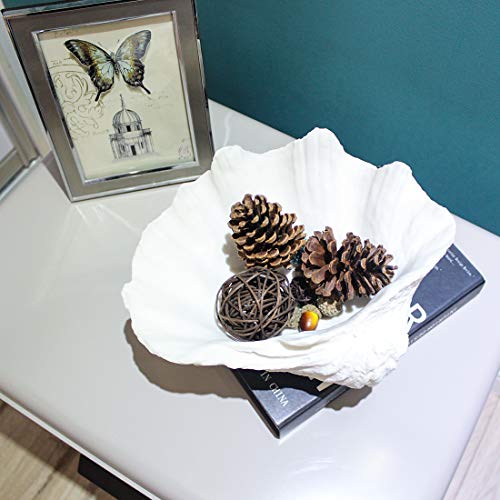 Aliwiner Seashell Bowl Resin Large Clam Shell Decor Nautical Clam Shell Bowl Coastal Beach Home Decor Bathroom Decor Beach Themed Party Wedding Seashell Figurine Gift #TOP4