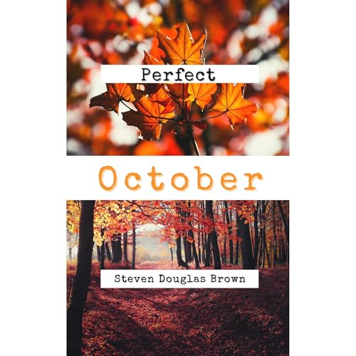 PERFECT OCTOBER Audiolibro Por Steven Douglas Brown arte de portada