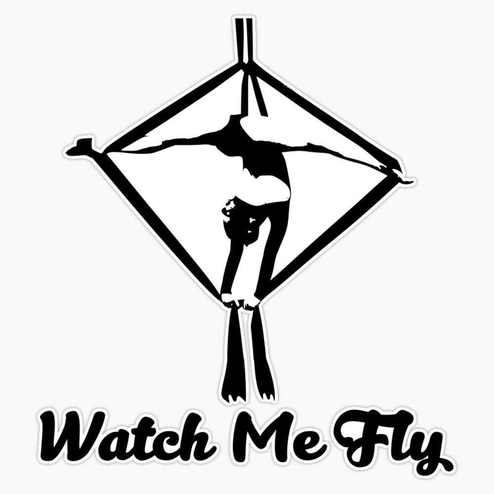 Aerial Yoga Design - Aerial Yoga Art - Aerial Yoga Stuff Sticker Vinyl Bumper Sticker Decal Waterproof 5"